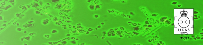 asbestos-dustiness-web-page02 asbestos-dustiness-web-page02