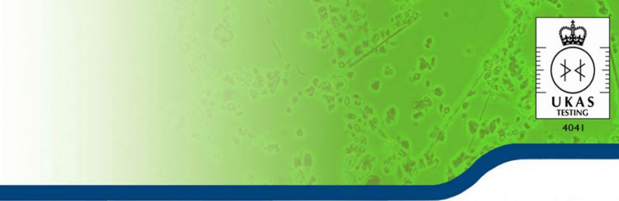 asbetos-banner-1200-x-380-px asbetos-banner-1200-x-380-px