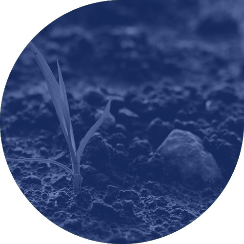 Contaminated Land Contaminated Land Services from i2 Analytical Services
