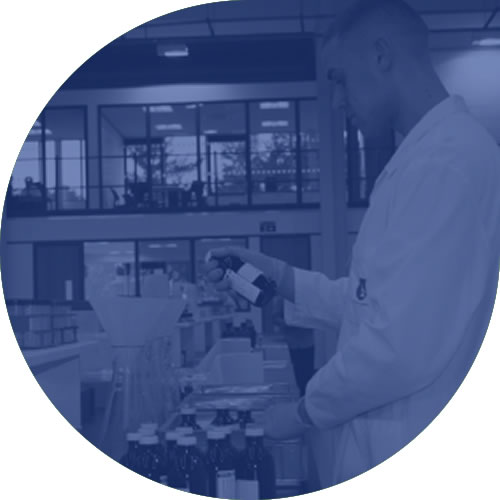 Project Coodination Project Co-Ordination Services from I2 Analytical