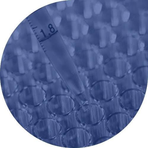SPE & Extraction SPE & Extraction at i2 analytical