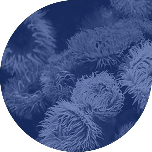 Priority Organic Pollutants Priority Organic Pollutants at i2 analytical