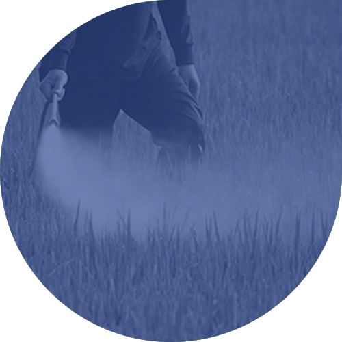 pesticides Pesticide services at i2 analytical