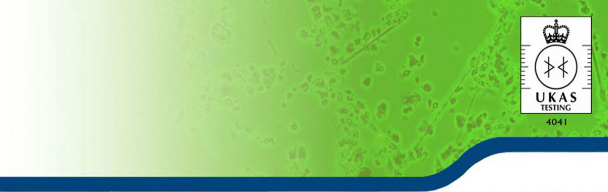 asbetos-banner-1200-x-380-px asbetos-banner-1200-x-380-px